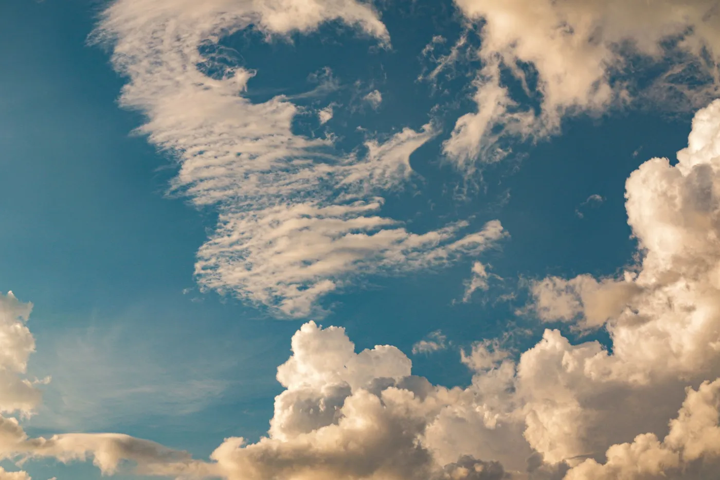 Photo by Roman Petrov