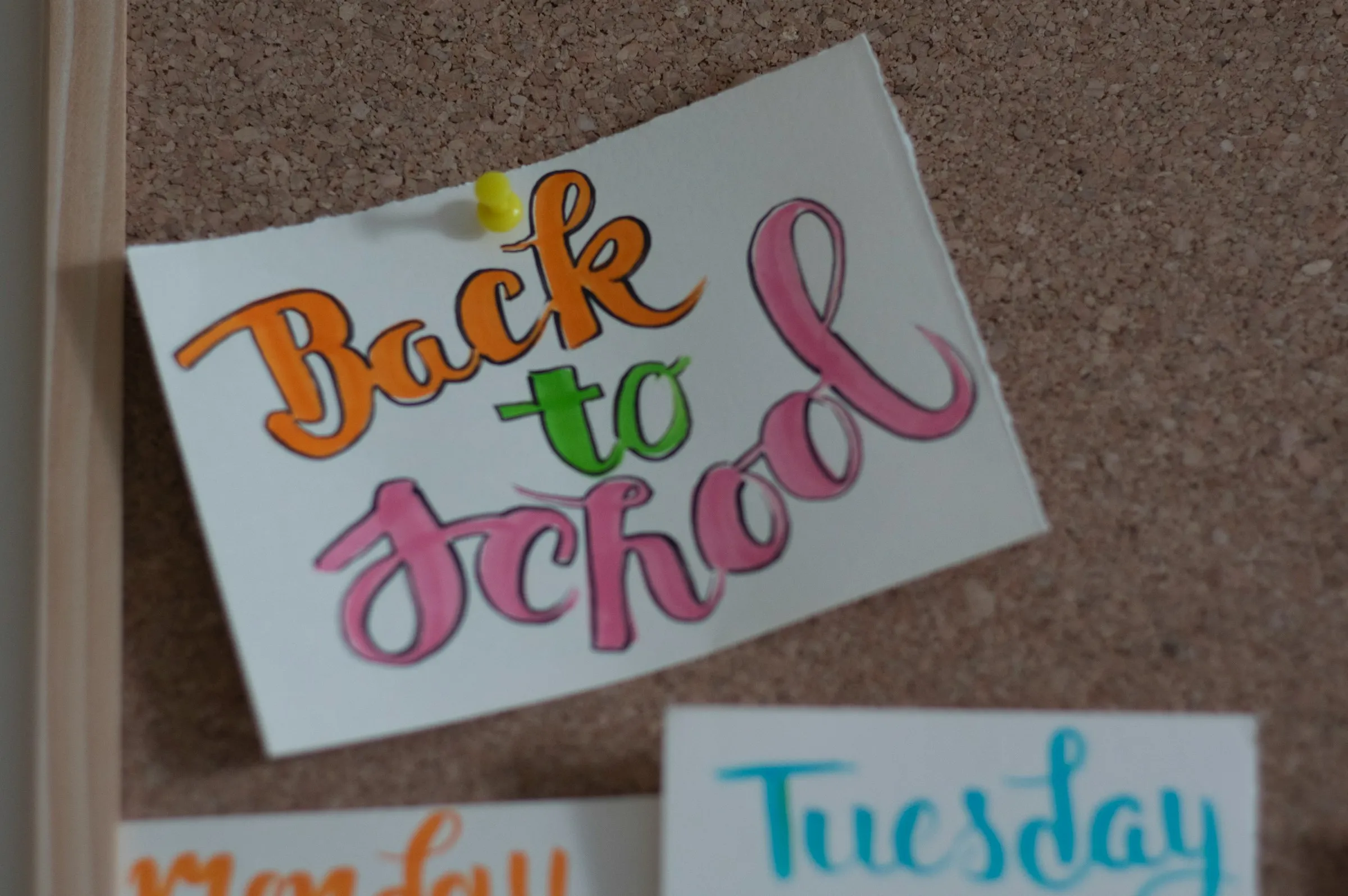 A vibrant back-to-school graphic featuring school supplies and cheerful colors, emphasizing the excitement of a new school year.
