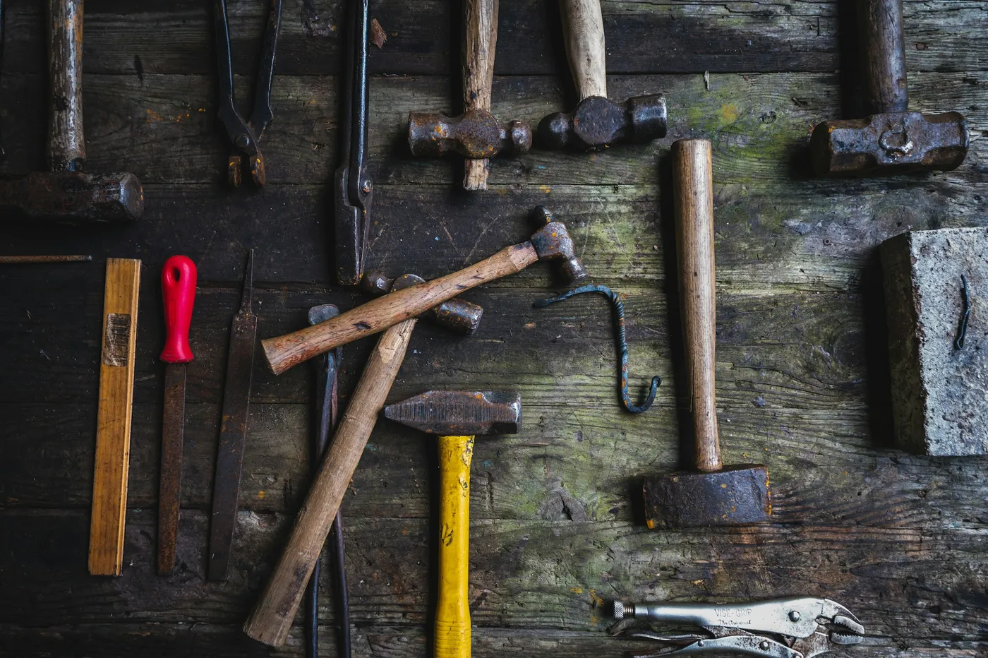 Photo by Rob Laughter